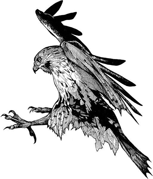 Иллюстрация к книге — Мильтон и Булька [_138.jpg]