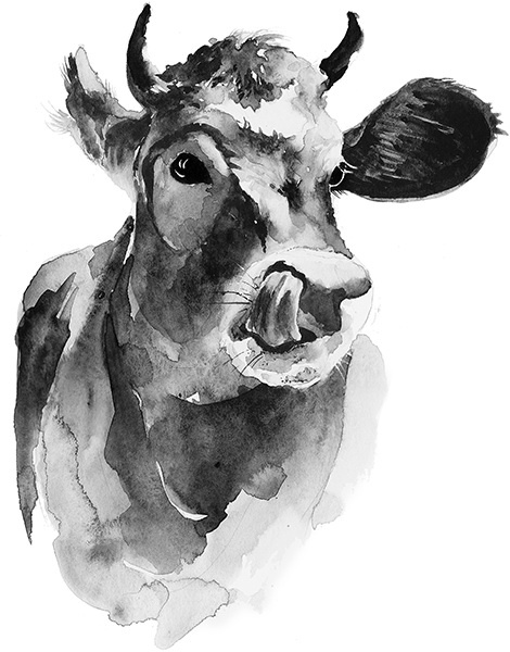 Иллюстрация к книге — Мильтон и Булька [_141.jpg]