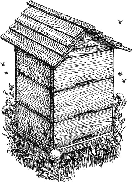 Иллюстрация к книге — Мильтон и Булька [_162.jpg]