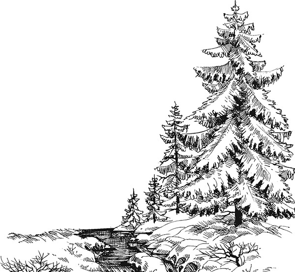 Иллюстрация к книге — Мильтон и Булька [_163.jpg]