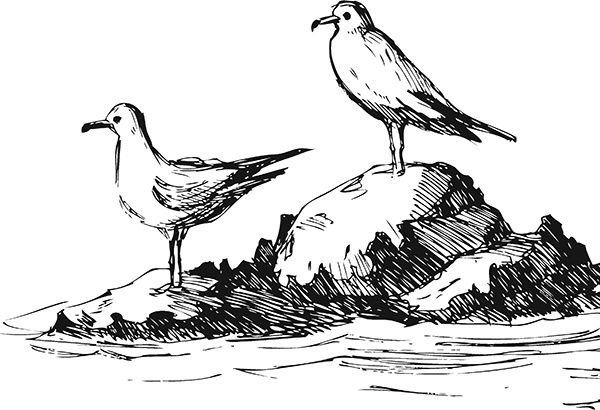 Иллюстрация к книге — Мильтон и Булька [_165.jpg]