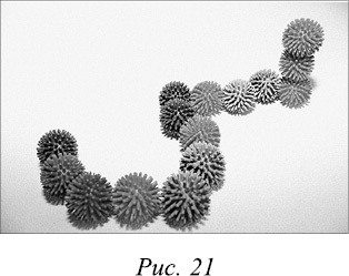 Иллюстрация к книге — Говори! Самоучитель по постановке речи у неговорящих детей [_13.jpg]