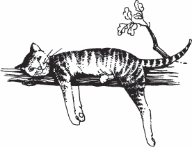 Иллюстрация к книге — Hygge. Твое уютное счастье с объятьями, печеньками и пледом. Секреты наслаждения жизнью по-скандинавски [_33.jpg]