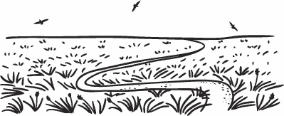 Иллюстрация к книге — Hygge. Твое уютное счастье с объятьями, печеньками и пледом. Секреты наслаждения жизнью по-скандинавски [_53.jpg]