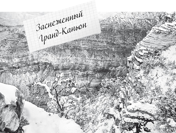 Иллюстрация к книге — Будни Гринго в Америке [i_010.jpg]