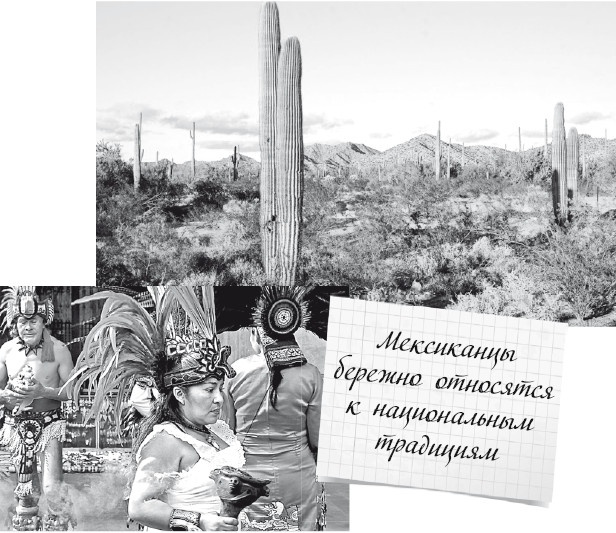 Иллюстрация к книге — Будни Гринго в Америке [i_015.jpg]