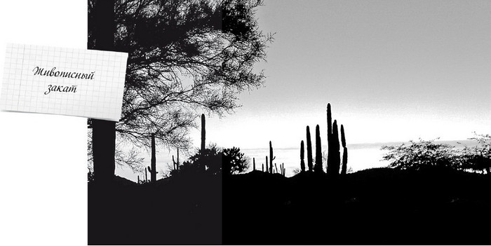 Иллюстрация к книге — Будни Гринго в Америке [i_017.jpg]