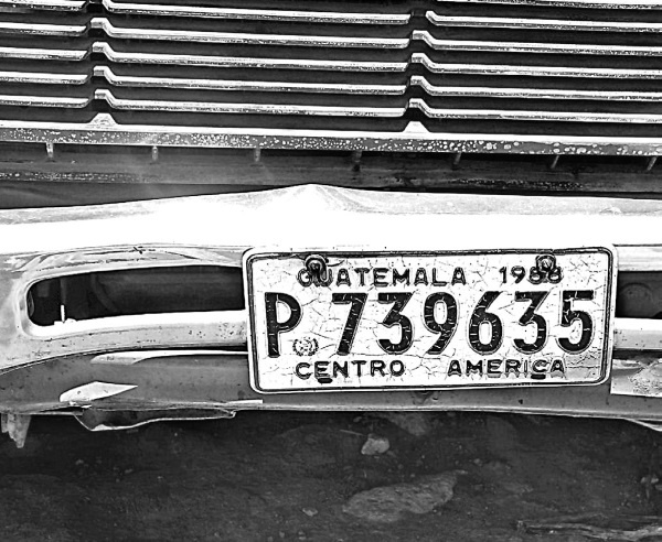 Иллюстрация к книге — Будни Гринго в Америке [i_033.jpg]