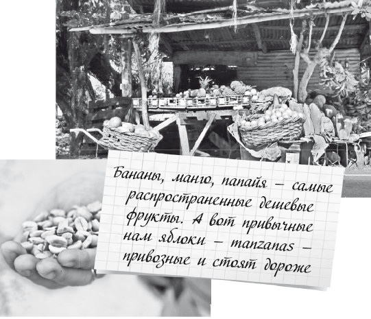 Иллюстрация к книге — Будни Гринго в Америке [i_045.jpg]