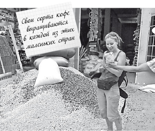 Иллюстрация к книге — Будни Гринго в Америке [i_047.jpg]