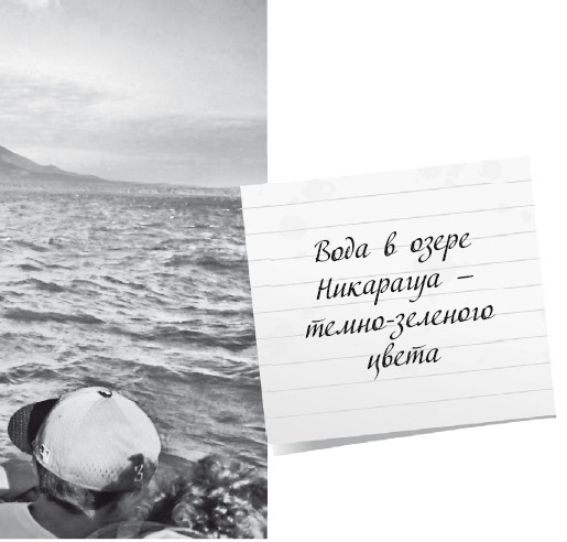 Иллюстрация к книге — Будни Гринго в Америке [i_067.jpg]