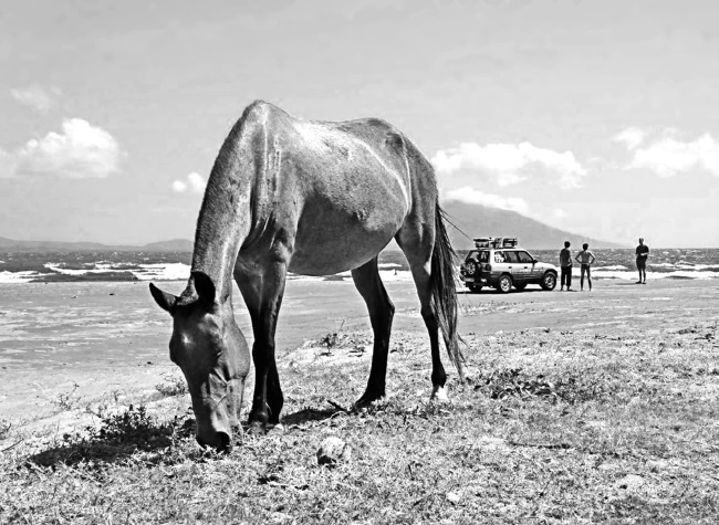 Иллюстрация к книге — Будни Гринго в Америке [i_068.jpg]