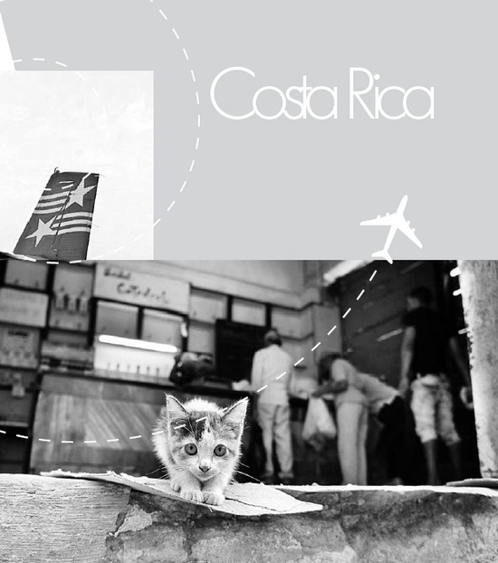 Иллюстрация к книге — Будни Гринго в Америке [i_071.jpg]