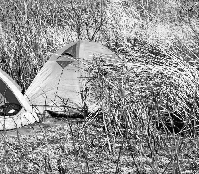 Иллюстрация к книге — Будни Гринго в Америке [i_077.jpg]