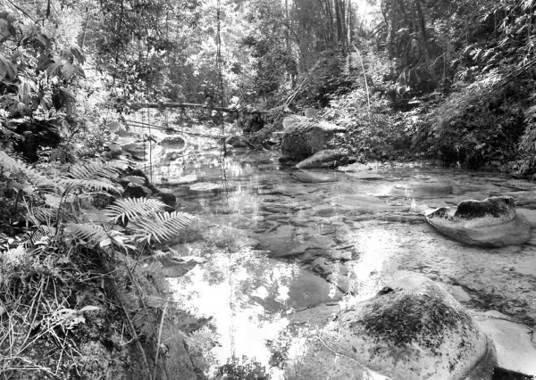 Иллюстрация к книге — Будни Гринго в Америке [i_117.jpg]