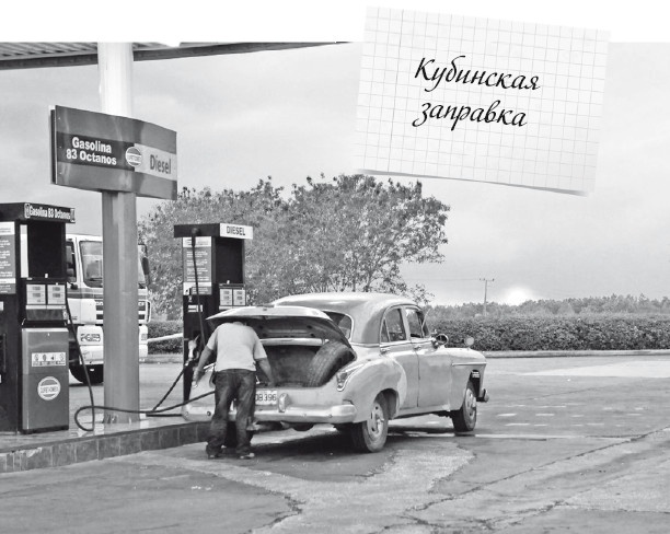 Иллюстрация к книге — Будни Гринго в Америке [i_133.jpg]