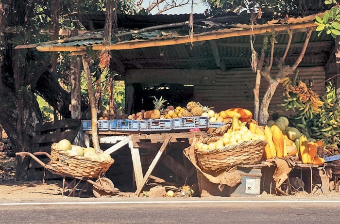 Иллюстрация к книге — Будни Гринго в Америке [i_135.jpg]