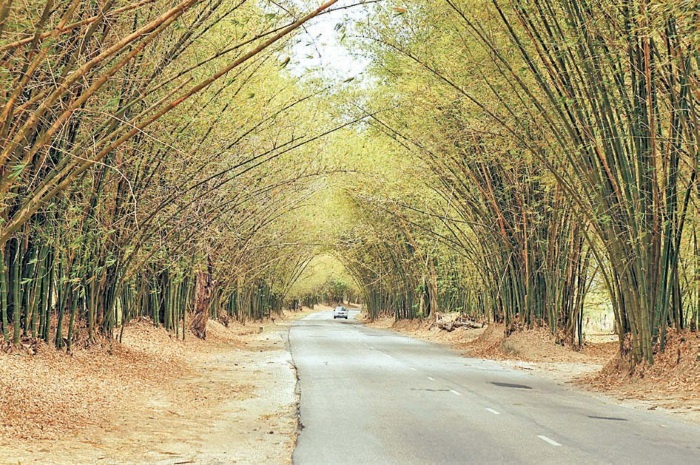 Иллюстрация к книге — Будни Гринго в Америке [i_151.jpg]