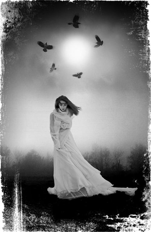 Иллюстрация к книге — Пророчество [img.jpg]