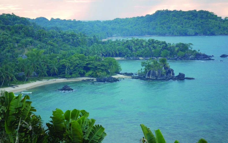 Иллюстрация к книге — 25 любимых специй [_008.jpg]