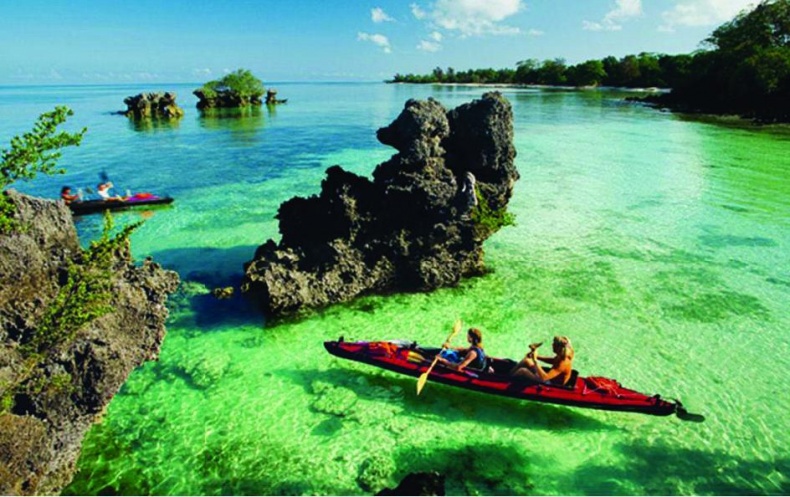 Иллюстрация к книге — 25 любимых специй [_012.jpg]