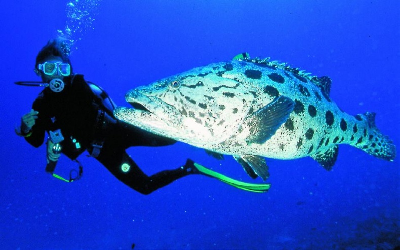 Иллюстрация к книге — 25 любимых специй [_013_2.jpg]