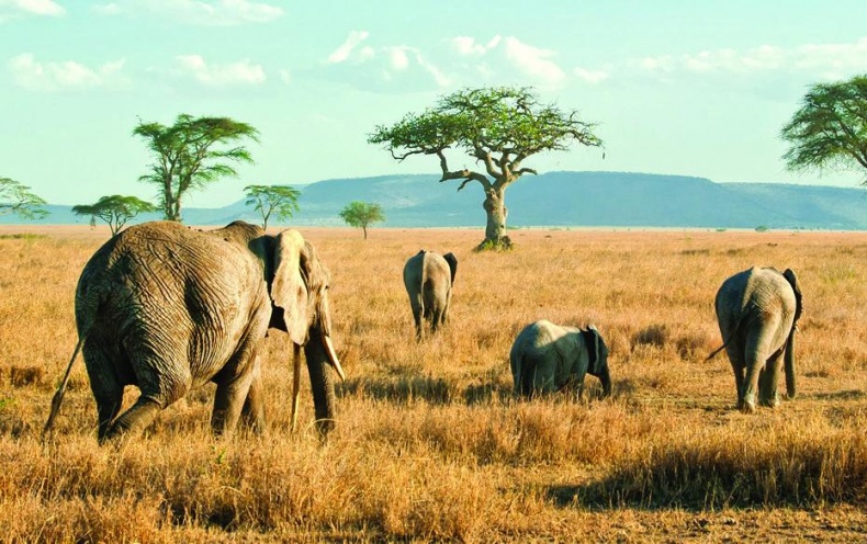 Иллюстрация к книге — 25 любимых специй [_013_3.jpg]