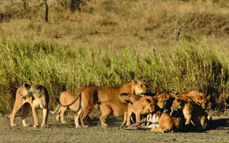 Иллюстрация к книге — 25 любимых специй [_014.jpg]