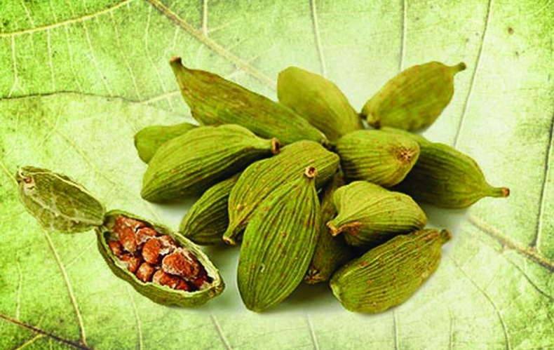 Иллюстрация к книге — 25 любимых специй [_016_2.jpg]