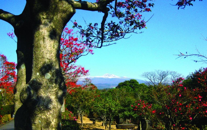 Иллюстрация к книге — 25 любимых специй [_037.jpg]