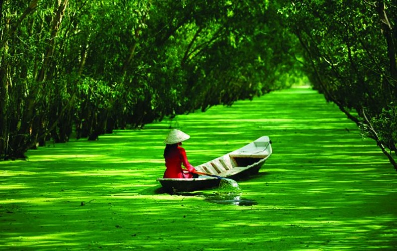 Иллюстрация к книге — 25 любимых специй [_044.jpg]