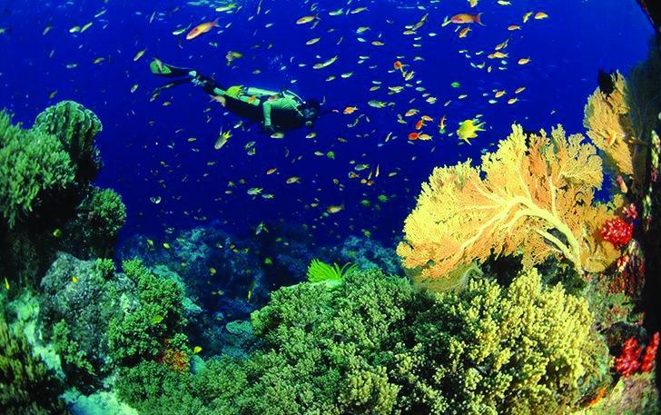 Иллюстрация к книге — 25 любимых специй [_060.jpg]