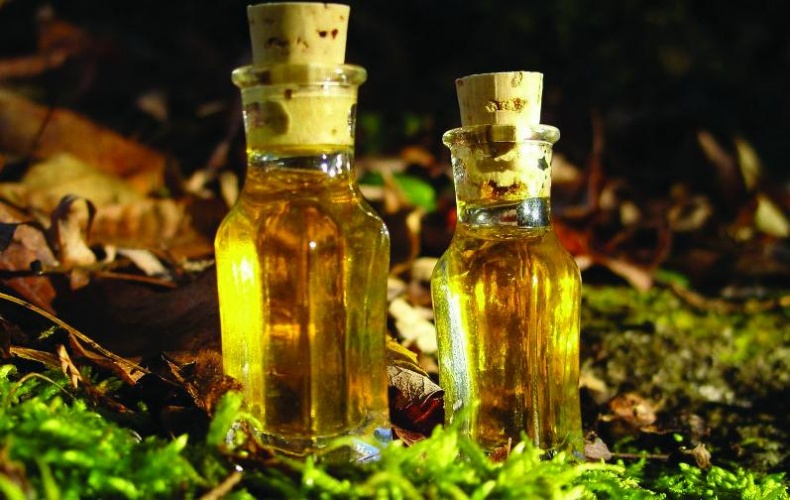 Иллюстрация к книге — 25 любимых специй [_063.jpg]