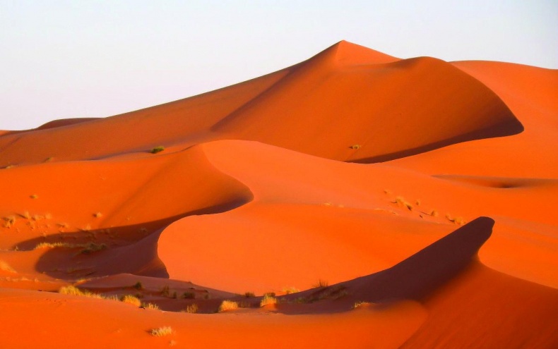 Иллюстрация к книге — 25 любимых специй [_066_2.jpg]