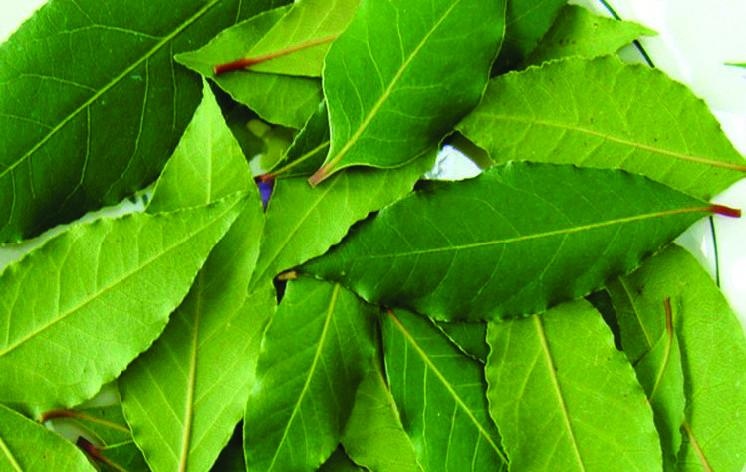 Иллюстрация к книге — 25 любимых специй [_067.jpg]