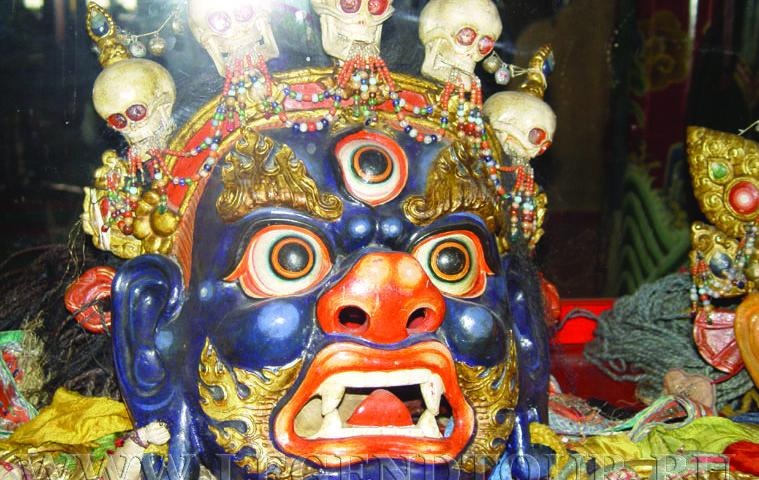 Иллюстрация к книге — 25 любимых специй [_104.jpg]