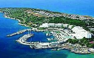 Иллюстрация к книге — 25 любимых специй [_128_2.jpg]