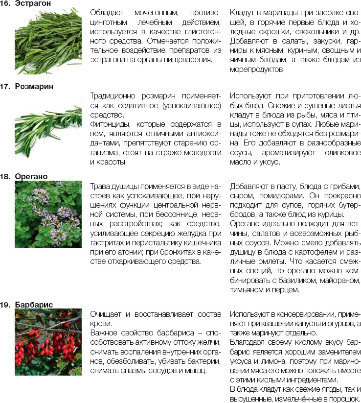 Иллюстрация к книге — 25 любимых специй [_332.jpg]