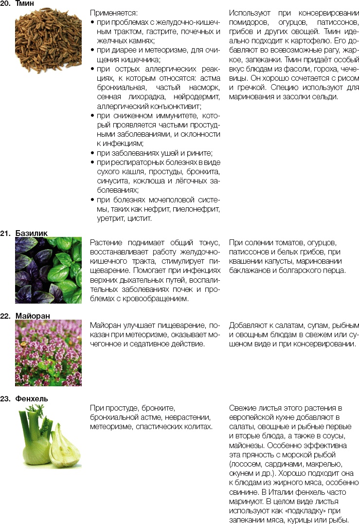 Иллюстрация к книге — 25 любимых специй [_333.jpg]