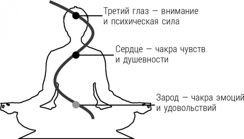 Иллюстрация к книге — Научись быть экстрасенсом. #Магия чистого сознания [i_005.jpg]