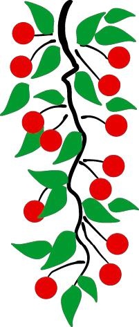 Иллюстрация к книге — Сладкие чудо-рулеты [_362.jpg]