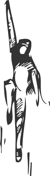 Иллюстрация к книге — Почему мы думаем то, что мы думаем [i_003.jpg]