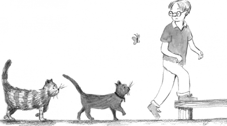 Иллюстрация к книге — Алфи. Вдали от дома [i_005.jpg]