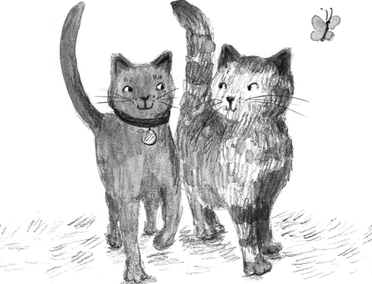 Иллюстрация к книге — Алфи. Вдали от дома [i_017.jpg]