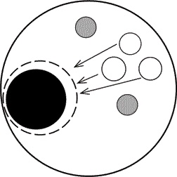 Иллюстрация к книге — Счастливая жизнь без панических атак и тревог. Эффективный метод избавления от ВСД, страхов и паники, которые мешают жить [i_008.jpg]