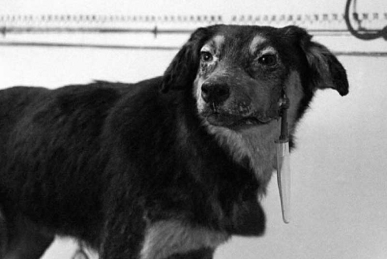 Иллюстрация к книге — Психология согласия. Революционная методика убеждения до начала убеждения [i_010.jpg]