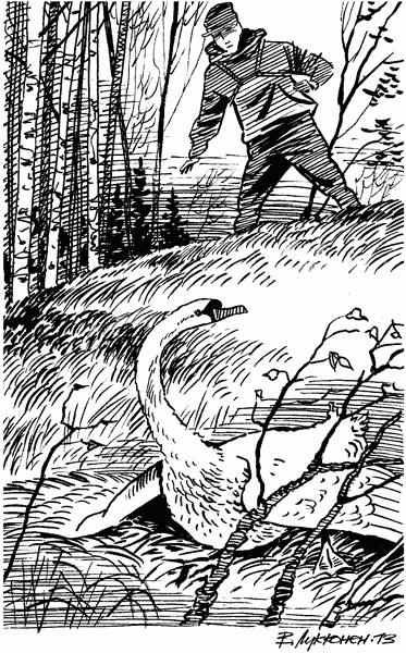 Иллюстрация к книге — Под Большой Медведицей [i_041.jpg]