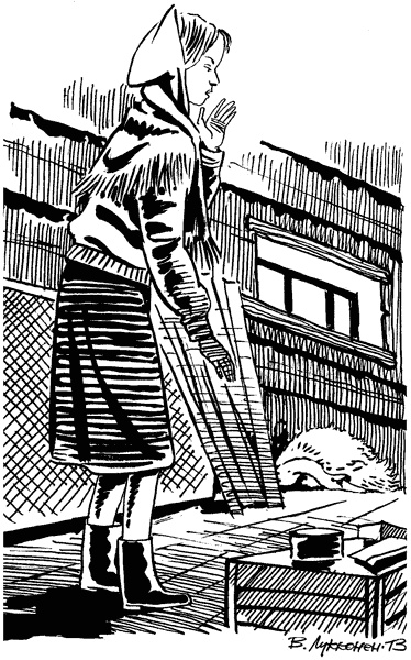 Иллюстрация к книге — Под Большой Медведицей [i_042.jpg]