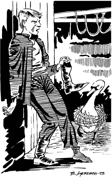 Иллюстрация к книге — Под Большой Медведицей [i_043.jpg]