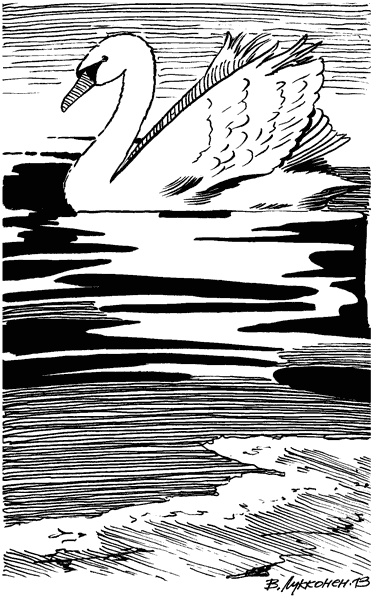 Иллюстрация к книге — Под Большой Медведицей [i_045.jpg]